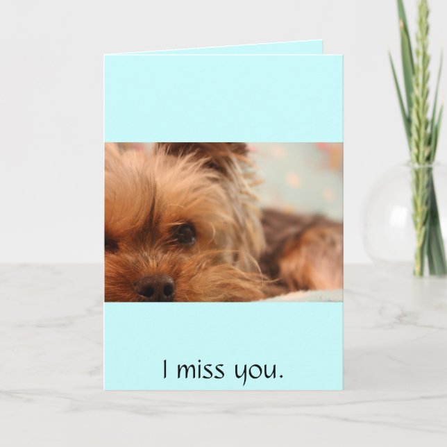 Tarjeta teacup yorkie (Anverso)