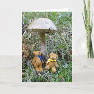 Tarjeta "Tedd y Teena en Valle Feliz"