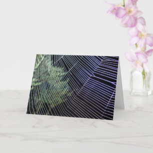 Tarjeta Tela de araña tejedora de ruedas naranja