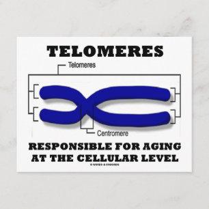 Tarjeta Telomeres responsable del envejecer en el nivel