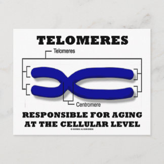 Tarjeta Telomeres Responsables Del Envejecimiento A Nivel