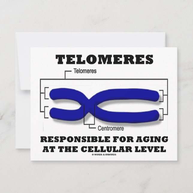 Tarjeta Telomeres Responsables Del Envejecimiento A Nivel  (Anverso)