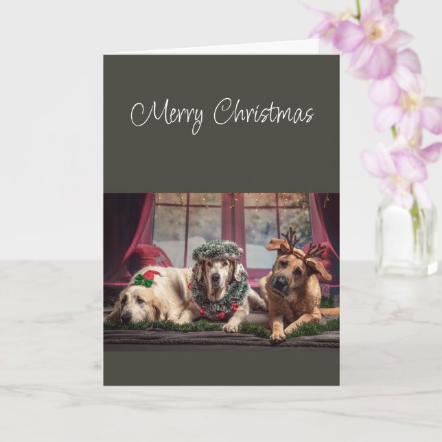 Tarjeta Temporada Navideña Feliz para Perros Alegres (Orquídea)