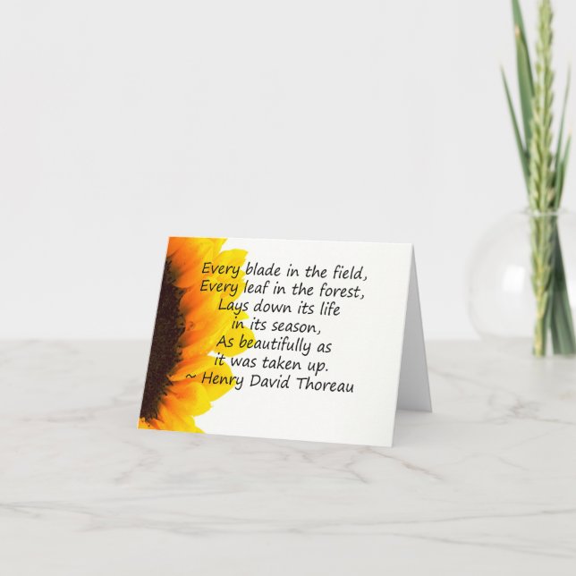 Tarjeta Temporadas de vida (Anverso)