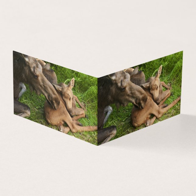 Tarjeta Tender Mother Moose (Exterior)