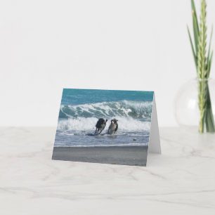 Tarjeta Tener una pelota BD 1