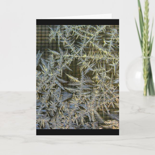 Tarjeta Tenga un día hermoso cualquier ocasión (Anverso)