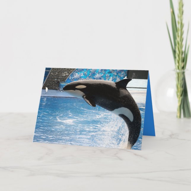 Tarjeta ¡Tenga una ballena de un día! (Anverso)