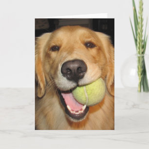 Tarjeta ¡Tenga una bola!