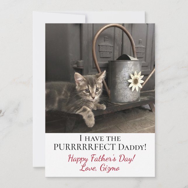 Tarjeta ¡Tengo Al Padre Perfecto! Foto de Kitty del Día de (Anverso)