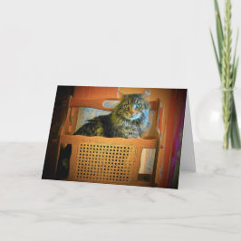 Tarjeta Tengo tantos ejemplares que necesito un rack de re