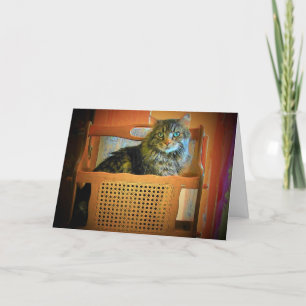 Tarjeta Tengo tantos ejemplares que necesito un rack de re