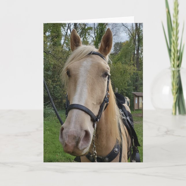 Tarjeta Tennessee Walking Horse (Anverso)