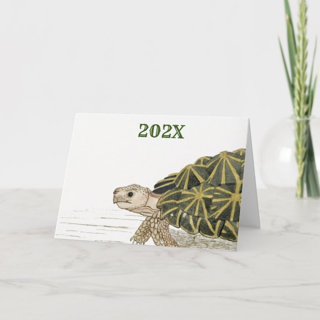 Tarjeta Tent Tortoise | Turche Beach Sea Animal Jigsaw Kid (Anverso)