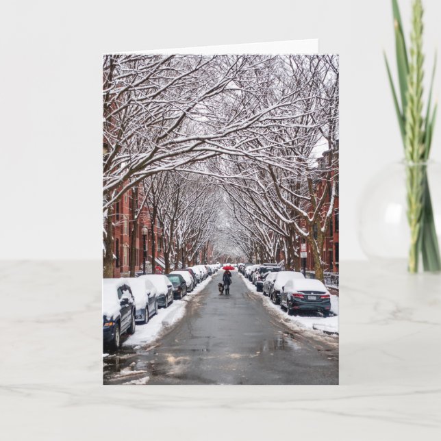 Tarjeta Tercer extremo sur del invierno de Boston (Anverso)