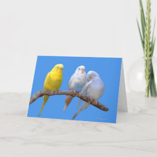 Tarjeta Tercera rueda