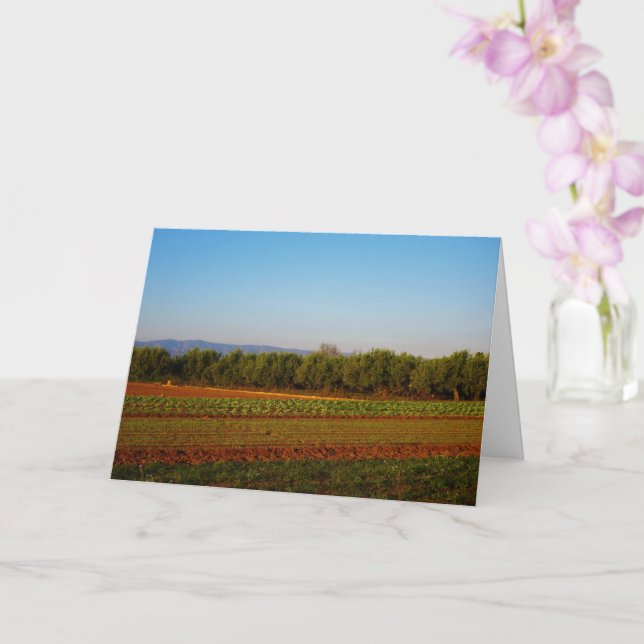 Tarjeta Terrenos agrícolas de Valencia (España) (Orquídea)