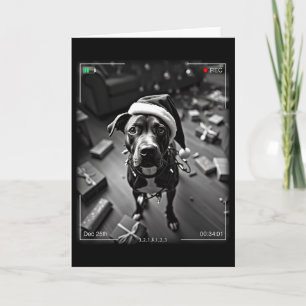 Tarjeta Terrier americano de Staffordshire de Navidad pill