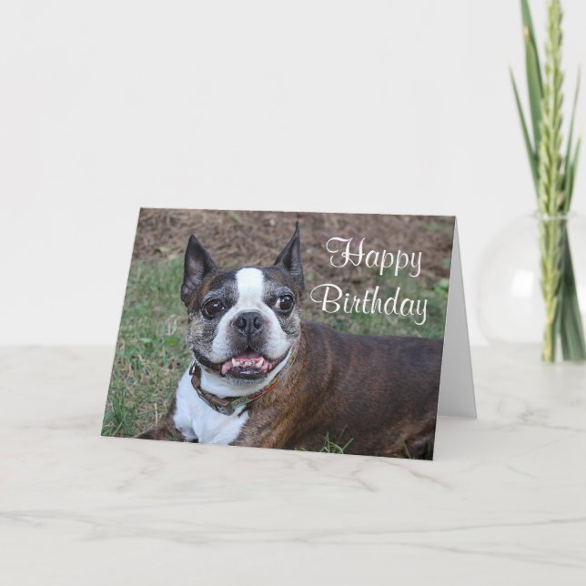 Tarjeta Terrier Brindle y blanco de Boston (Anverso)