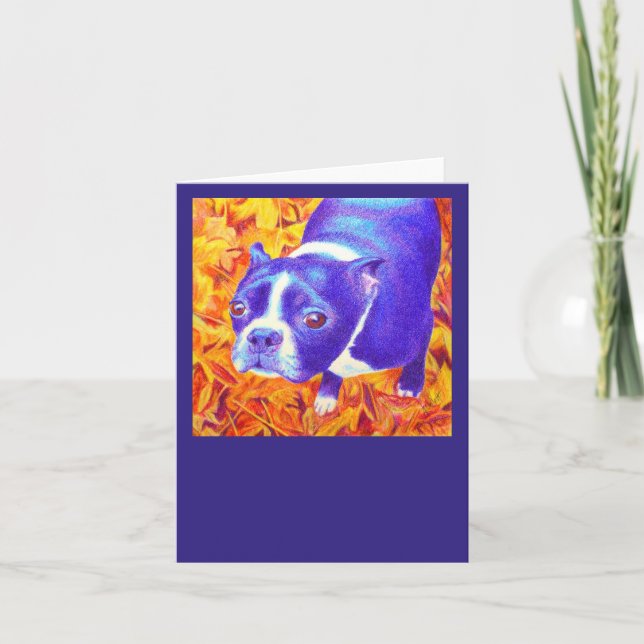 Tarjeta Terrier de Boston - "Daisy" (Anverso)