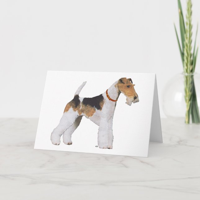 Tarjeta Terrier de Fox de pelo duro (Anverso)