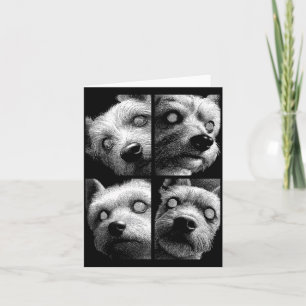 Tarjeta Terrier de Yorkshire hipnótico ojos impares Weirdc
