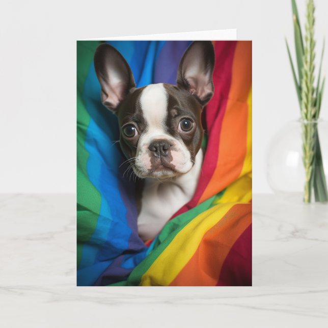 Tarjeta Terrier del Orgullo Gay de Boston (Anverso)