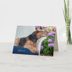 Tarjeta Terrier galés en cumpleaños de la silla de mimbre