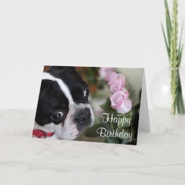 Tarjeta Terrier y flores de Boston