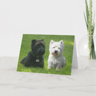 Tarjeta Terriers escoceses y West Highland Greenwood