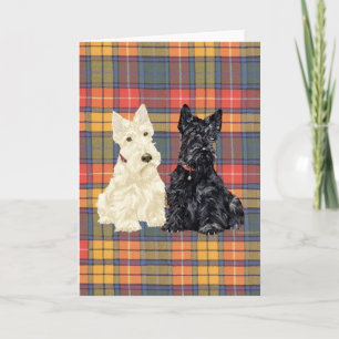 Tarjeta Terriers Trigos y Negros Escoceses