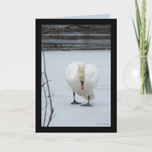 Tarjeta Territorio Swan (Anverso)