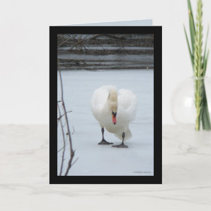 Tarjeta Territorio Swan