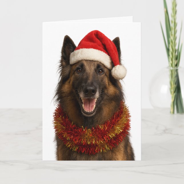 Tarjeta Tervuren in a Santa hat Christmas card (Anverso)