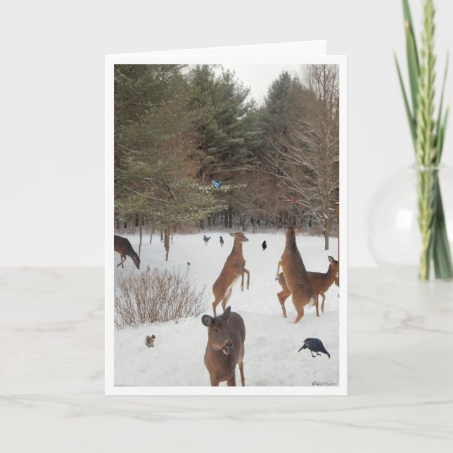 Tarjeta Testigo de belleza natural (Anverso)