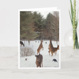 Tarjeta Testigo de belleza natural