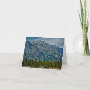 Tarjeta Teton NP 6901