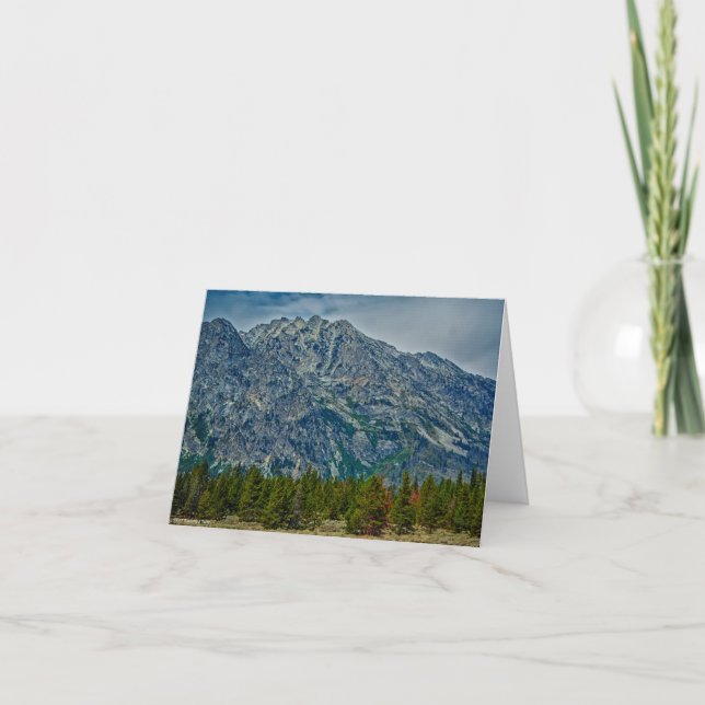 Tarjeta Teton NP 6901 (Anverso)