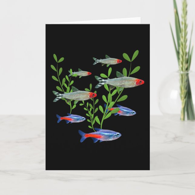 Tarjeta Tetras Aquarium Neon Tetras Rummy Nose Tetras Fish (Anverso)