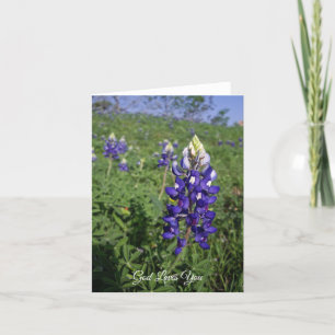 Tarjeta Texas Bluebonnet Christian John 3:16 Blank Inside