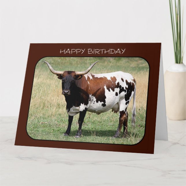 Tarjeta Texas Longhorn Cow Feliz Cumpleaños (Big Size) (Anverso)
