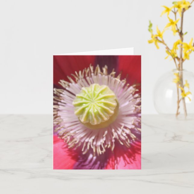 Tarjeta Texas Pink Skullcap Inspiradora Note (flor amarilla)