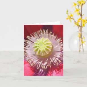 Tarjeta Texas Pink Skullcap Inspiradora Note