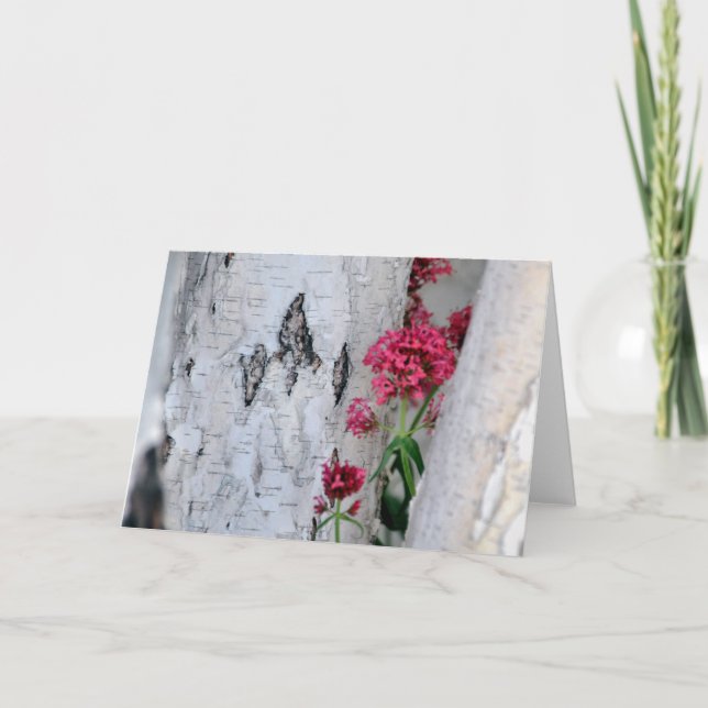 Tarjeta Textura de la corteza de árbol birch (Anverso)