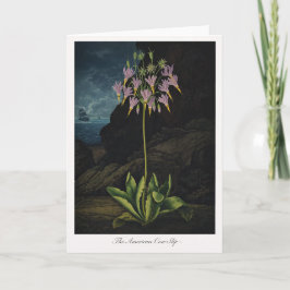 Tarjeta The American Cow-Slip — Modern Botanical Reinterpr