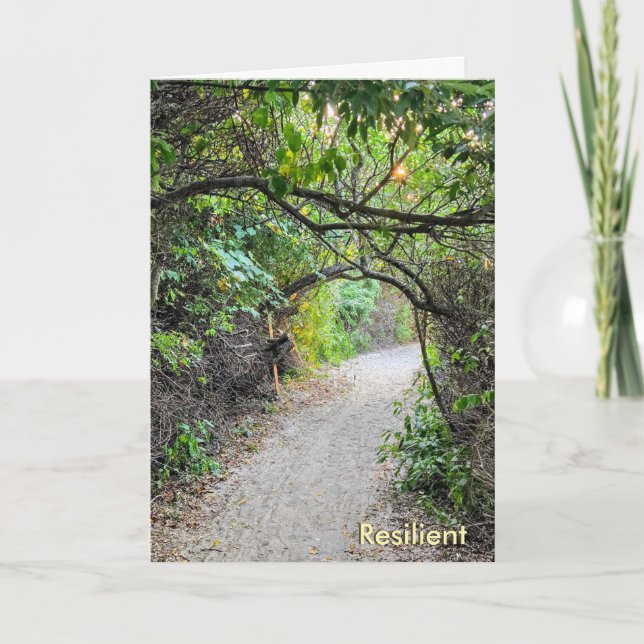 Tarjeta The Busy Busy Bee Collection – Resilient Card (Anverso)