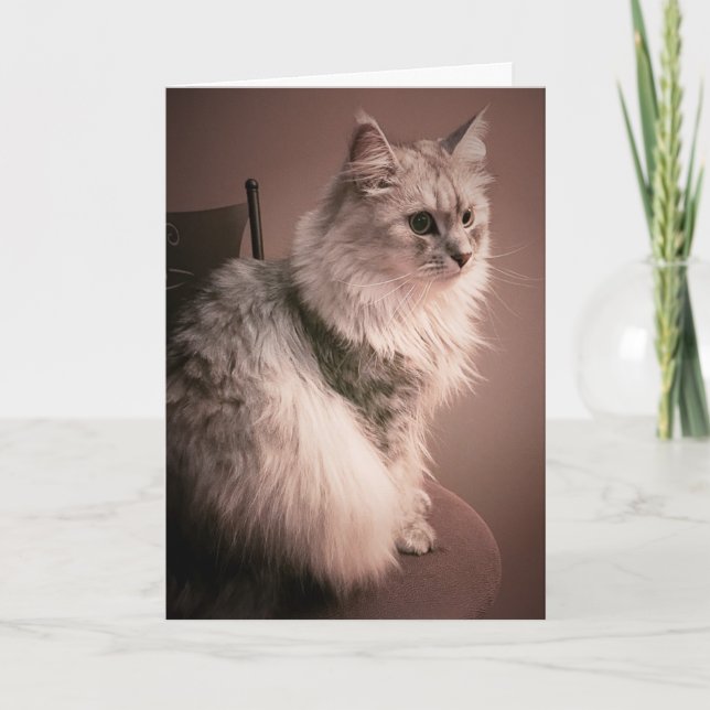 Tarjeta The Cat's Meow Birthday Card (Anverso)