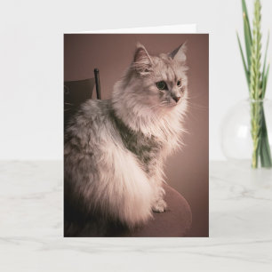 Tarjeta The Cat's Meow Birthday Card