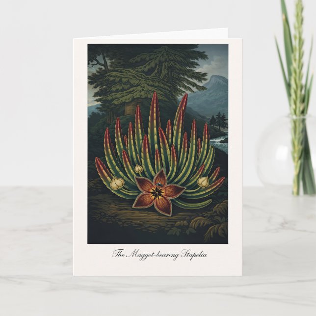 Tarjeta The Maggot-Bearing Stapelia — Modern Botanical Rei (Anverso)