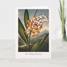 Tarjeta The Nodding Renealmia — Modern Botanical Reinterpr